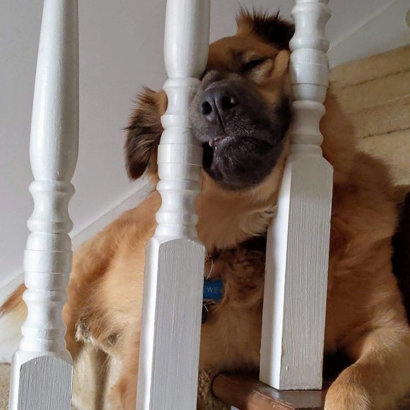 Meet your Posher, Michele - Picture 3 of 6